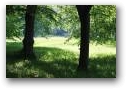   » Кликните чтобы увеличить ->